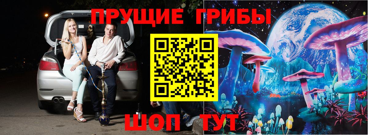Галлюциногенные грибы Psilocybe  Вход с VPN  Прокопьевск 